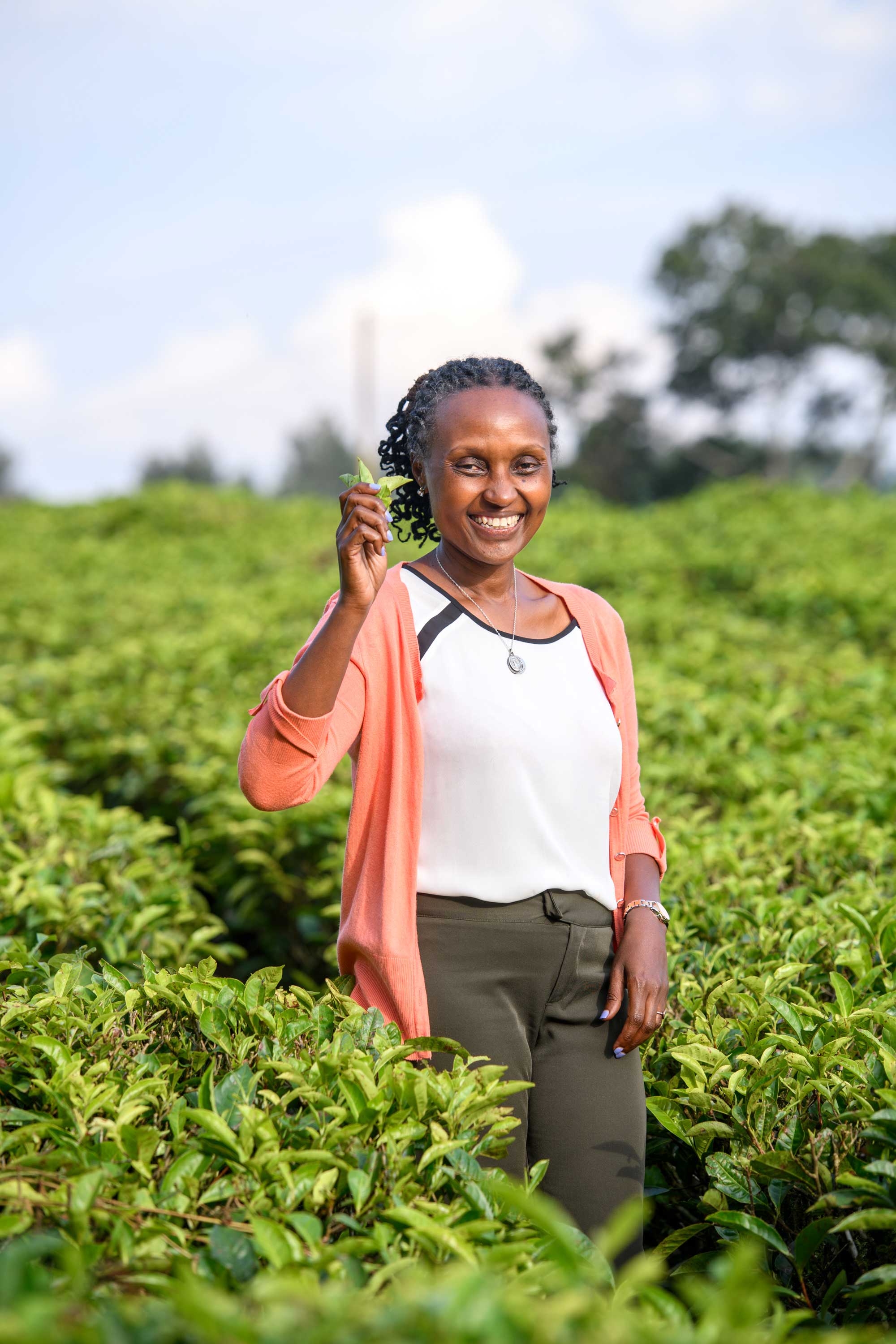 Uganda-tea-farmer-lady-worker-field.jpg