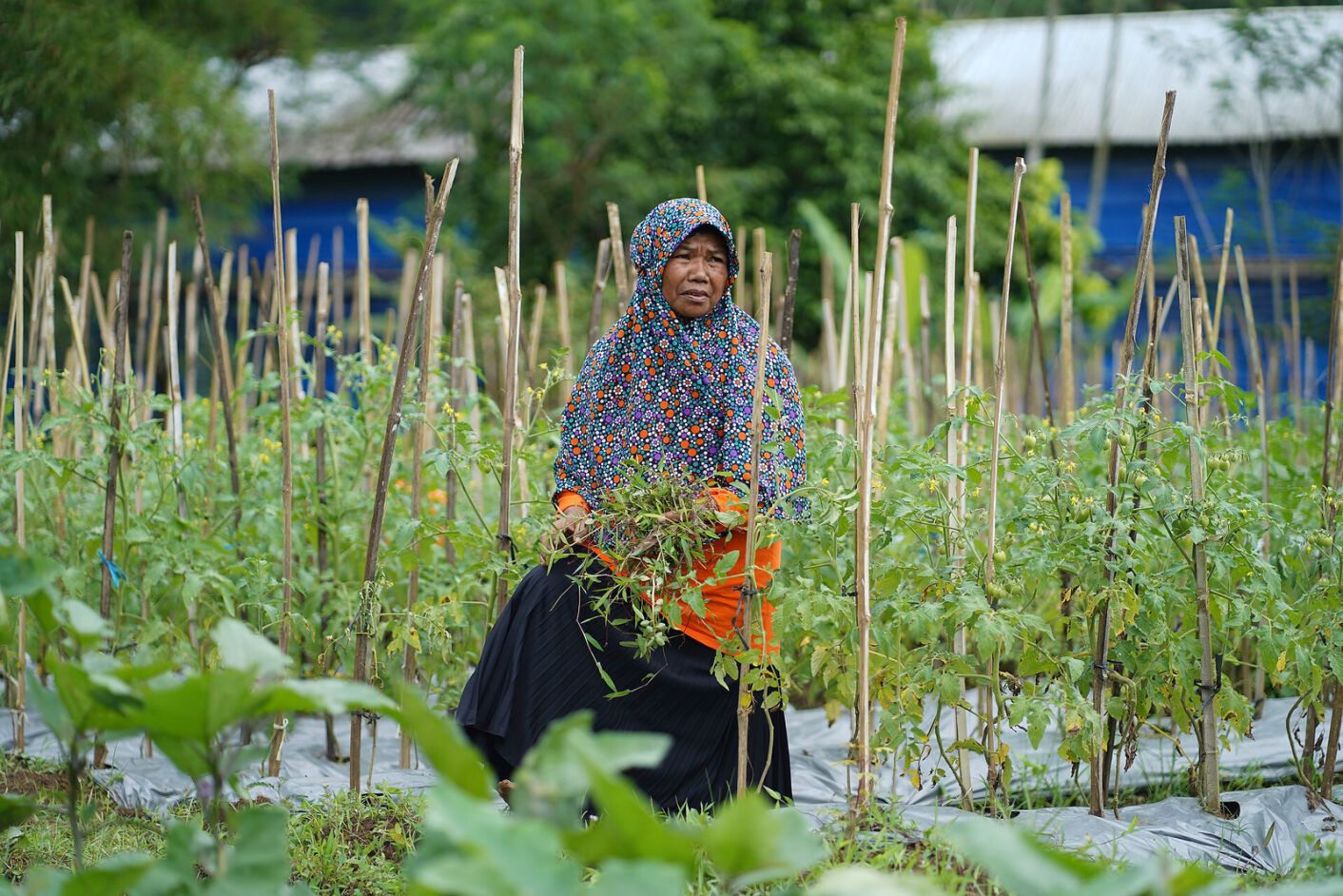 world food day woman crop.jfif